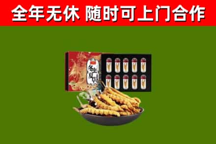 安阳烟酒回收冬虫夏草礼盒.jpg